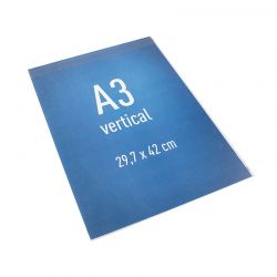 Adhesive pouch with anti-reflective flap