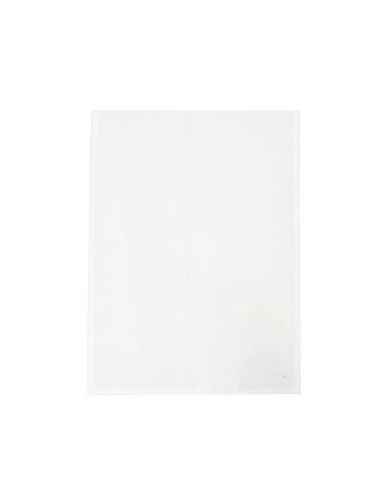 Electrostatic document sleeve